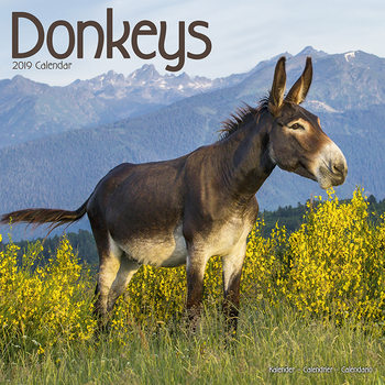 Ημερολόγιο 2027 Donkeys