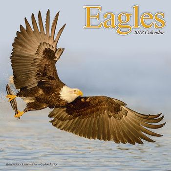 Calendar 2018 Eagles