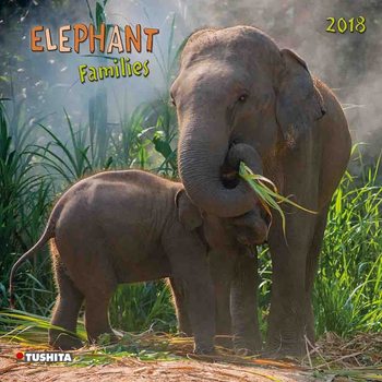 Calendar 2018 Elephant Families