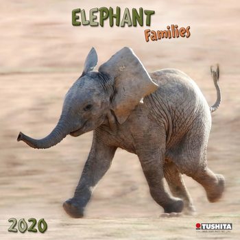 Ημερολόγιο 2027 Elephant Families