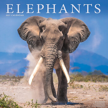 Calendar 2027 Elephants