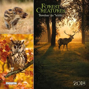 Calendar 2018 Forest Creatures