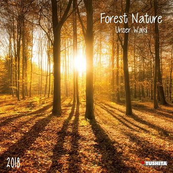 Calendar 2018 Forest Nature