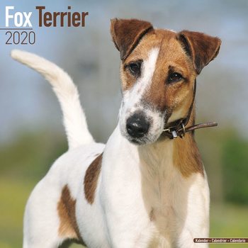 Ημερολόγιο 2027 Fox Terrier