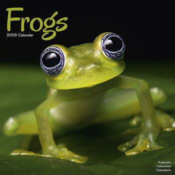 Calendar 2023 Frogs