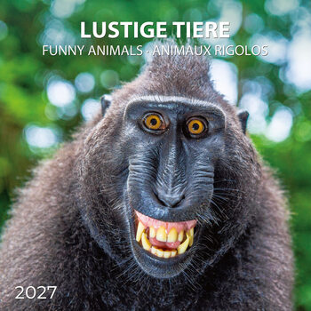 Calendar 2027 Funny Animals