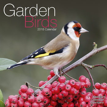 Calendar 2018 Garden Birds