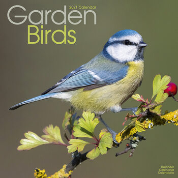 Ημερολόγιο 2027 Garden Birds