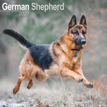 Calendar 2027 German Shepherd