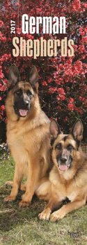 Calendar 2027 German Shepherds