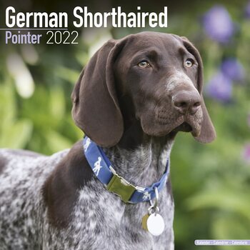 Calendar 2022 German ShortHair Pointer