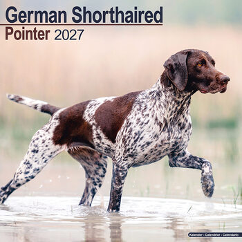 Calendar 2027 German Shorthaired Pointer