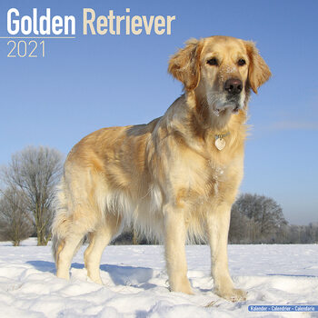 Ημερολόγιο 2027 Golden Retriever