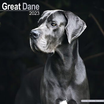 Ημερολόγιο 2027 Great Dane