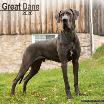 Calendar 2026 Great Dane
