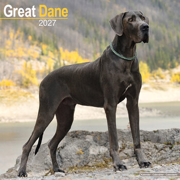 Calendar 2027 Great Dane