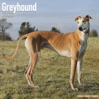 Calendar 2022 Greyhound