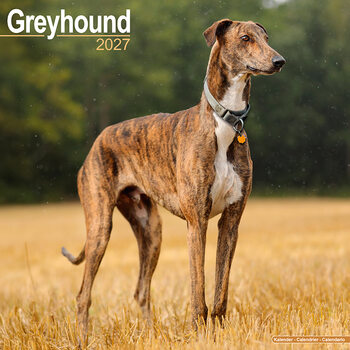 Calendar 2027 Greyhound