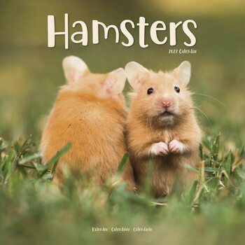 Calendar 2022 Hamsters
