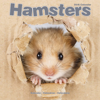 Calendar 2018 Hamsters