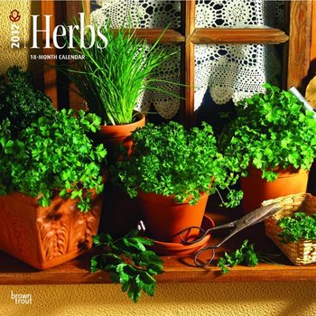 Calendar 2027 Herbs