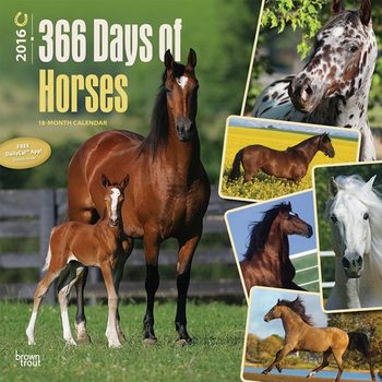 Calendar 2027 Horse 2