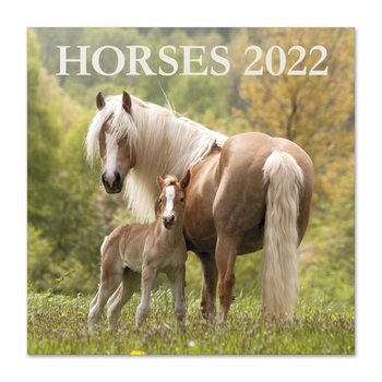 Calendar 2022 Horses