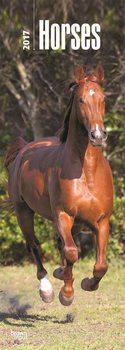 Calendar 2017 Horses