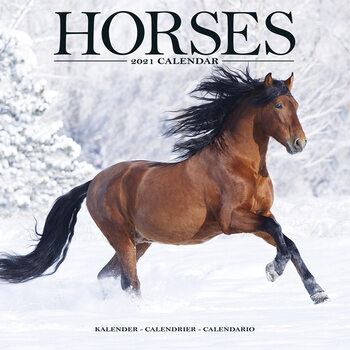 Ημερολόγιο 2027 Horses