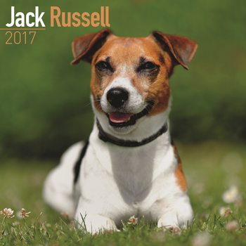 Calendar 2017 Jack Russell