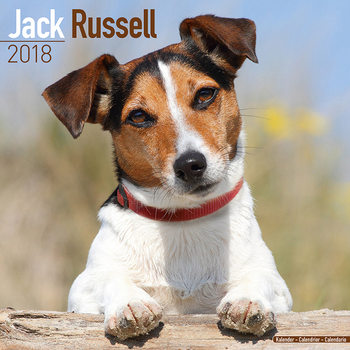 Calendar 2027 Jack Russell