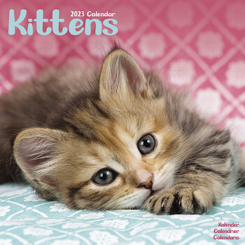 Calendar 2023 Kittens