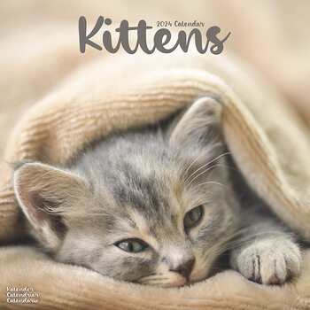 Calendar 2024 Kittens