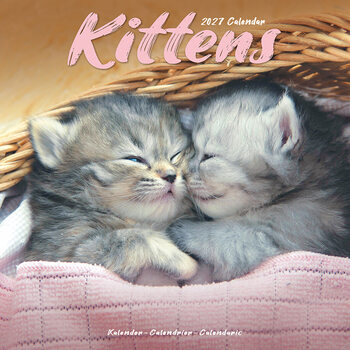 Calendar 2027 Kittens