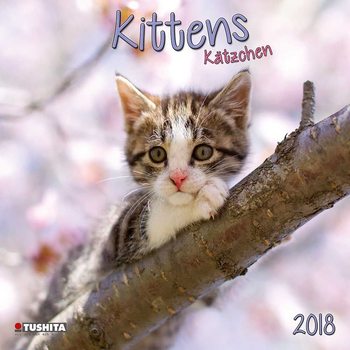 Calendar 2018 Kittens