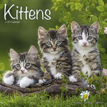 Ημερολόγιο 2027 Kittens