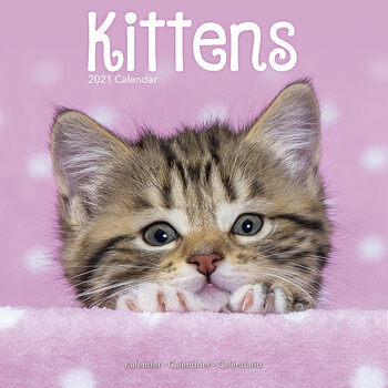 Ημερολόγιο 2027 Kittens