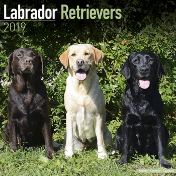 Calendar 2027 Labrador Ret (Mixed)