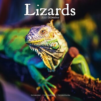 Calendar 2022 Lizards