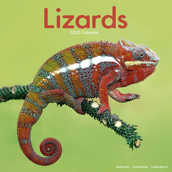 Calendar 2023 Lizards