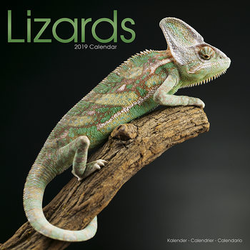 Ημερολόγιο 2027 Lizards