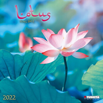 Calendar 2022 Lotus Feng Shui