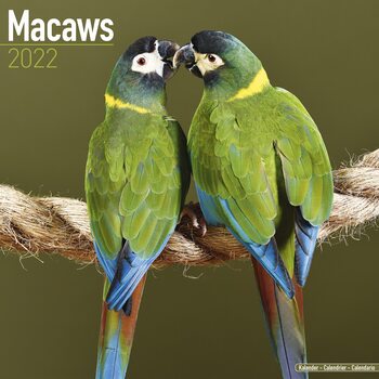 Calendar 2022 Macaws