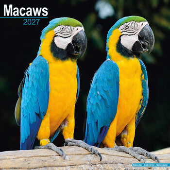 Calendar 2027 Macaws
