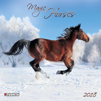 Calendar 2018 Magic Horses