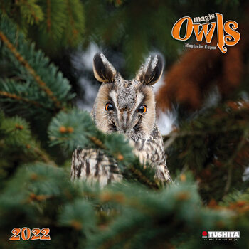 Calendar 2022 Magic Owls