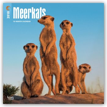 Calendar 2027 Meerkats