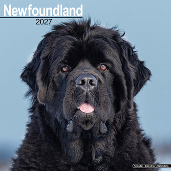Calendar 2027 Newfoundland