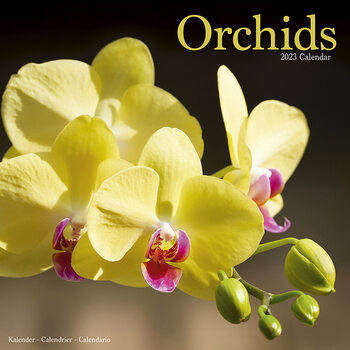 Calendar 2023 Orchids