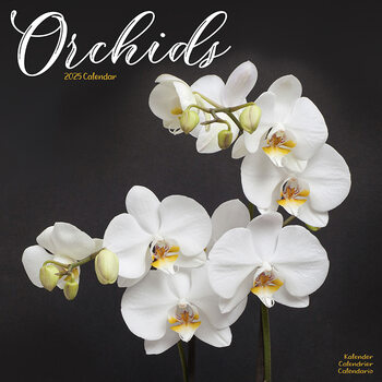 Calendar 2025 Orchids